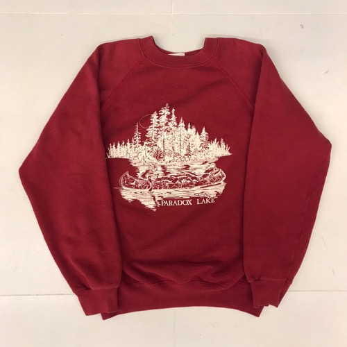 90s Hanes 50/50 sweatshirt ‘ paradox lake ‘ (95)