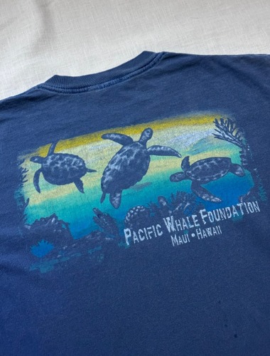 pacific whale foundation hawaii tshirt (S size, 100 추천)