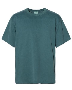 simple authentic TEE (green)