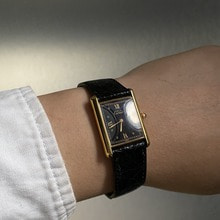 Cartier tank with  D buckle(24mm x 31)